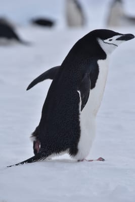 DSC_9619.JPG