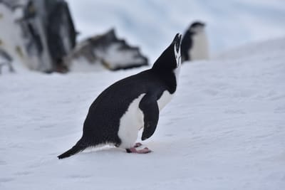 DSC_9621.JPG