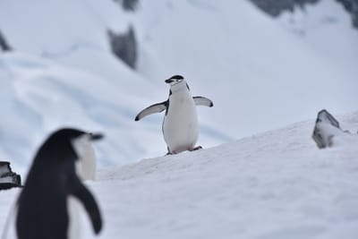 DSC_9622.JPG