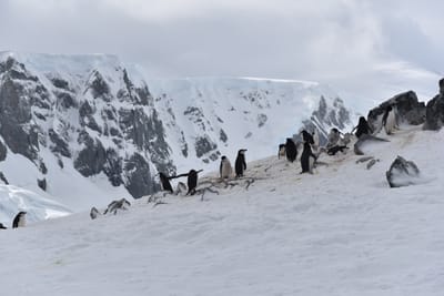 DSC_9626.JPG