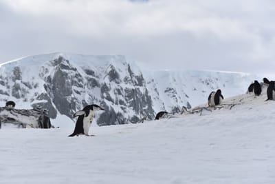 DSC_9628.JPG