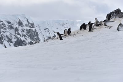 DSC_9629.JPG