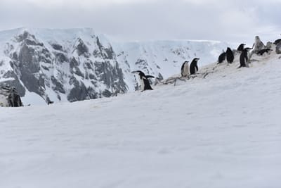 DSC_9630.JPG