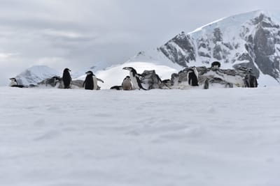 DSC_9631.JPG