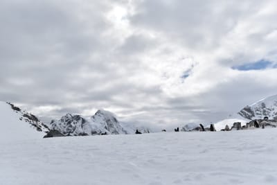 DSC_9632.JPG