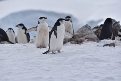 DSC_9644.JPG