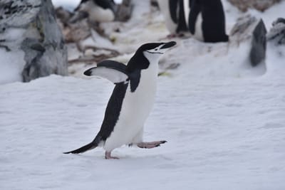 DSC_9645.JPG