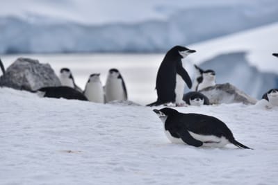 DSC_9646.JPG