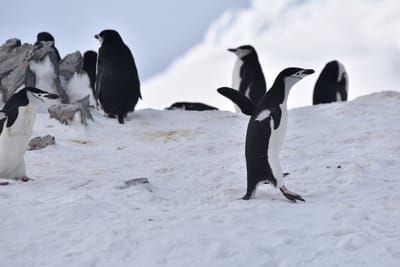 DSC_9647.JPG