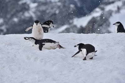 DSC_9649.JPG