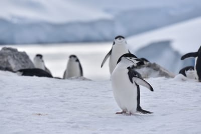 DSC_9653.JPG