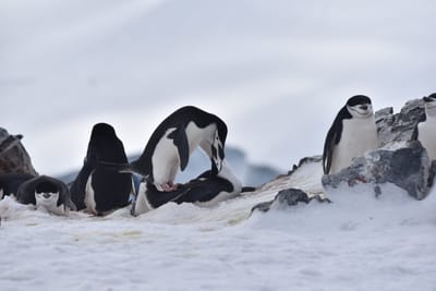DSC_9654.JPG