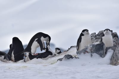 DSC_9655.JPG