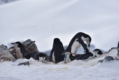 DSC_9656.JPG