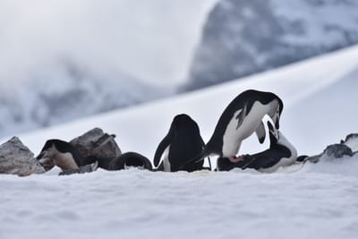 DSC_9658.JPG