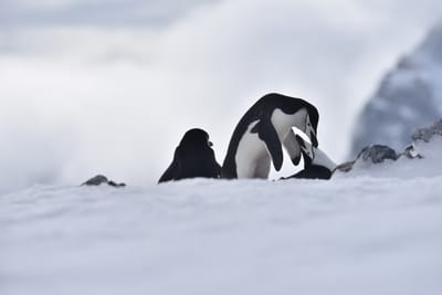 DSC_9659.JPG