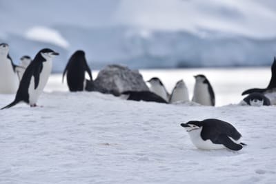 DSC_9661.JPG