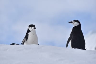 DSC_9662.JPG