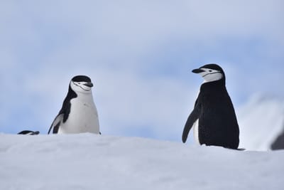 DSC_9663.JPG