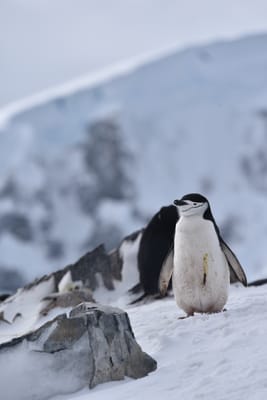 DSC_9664.JPG