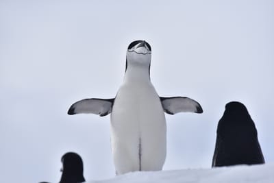 DSC_9665.JPG