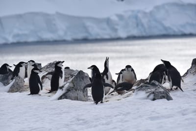 DSC_9666.JPG