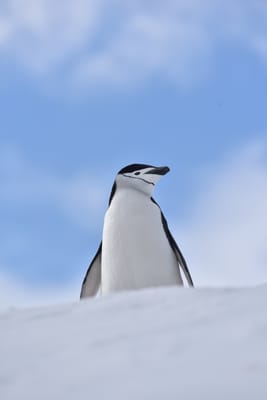 DSC_9667.JPG