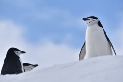 DSC_9668.JPG