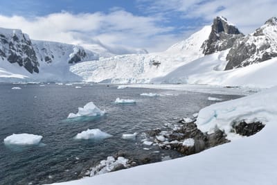 DSC_9695.JPG