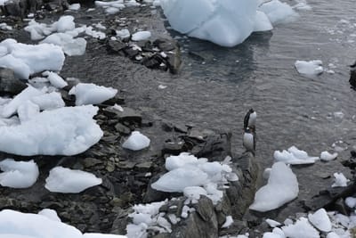 DSC_9698.JPG