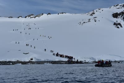 DSC_9706.JPG