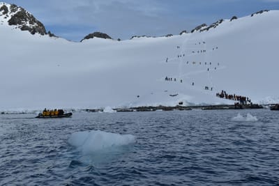 DSC_9707.JPG