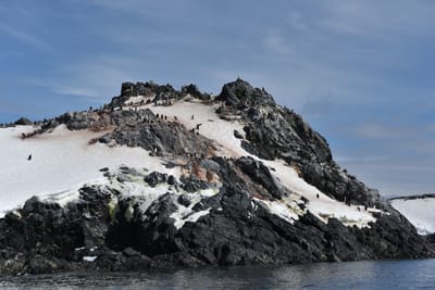 DSC_9716.JPG
