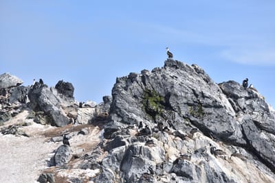 DSC_9717.JPG