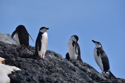 DSC_9724.JPG