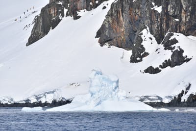 DSC_9730.JPG