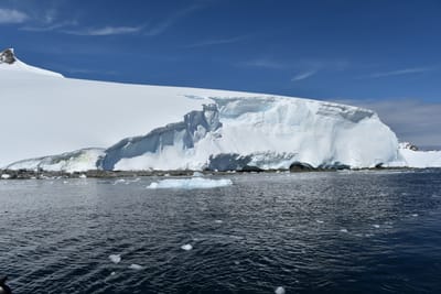 DSC_9739.JPG
