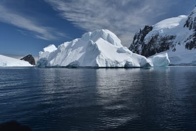 DSC_9772.JPG