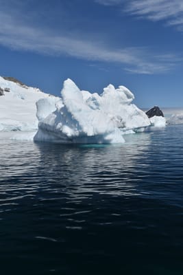 DSC_9780.JPG