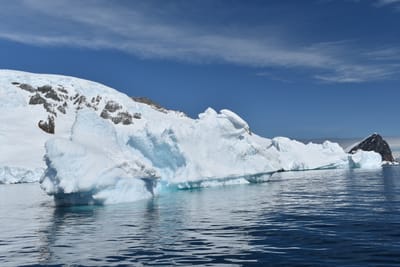 DSC_9781.JPG