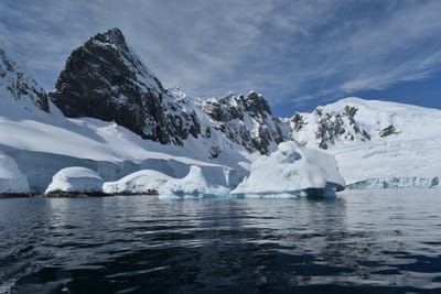 DSC_9785.JPG