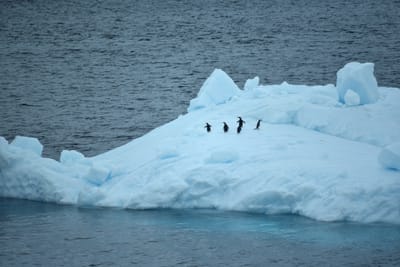 DSC_0507.JPG