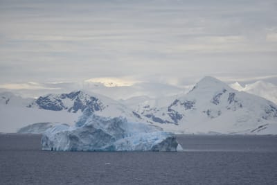 DSC_0534.JPG