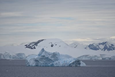 DSC_0535.JPG