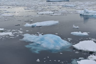 DSC_0554.JPG
