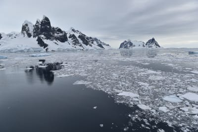 DSC_0555.JPG