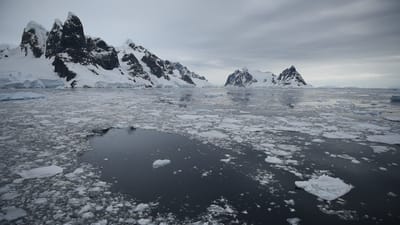 DSC_0556.MOV