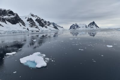 DSC_0562.JPG