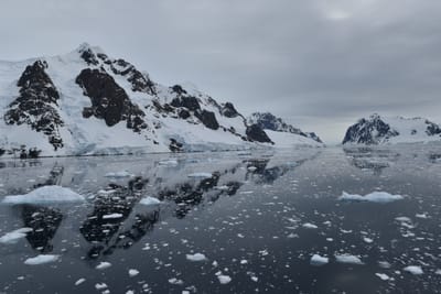 DSC_0581.JPG