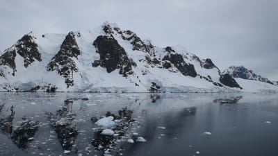 DSC_0584.MOV